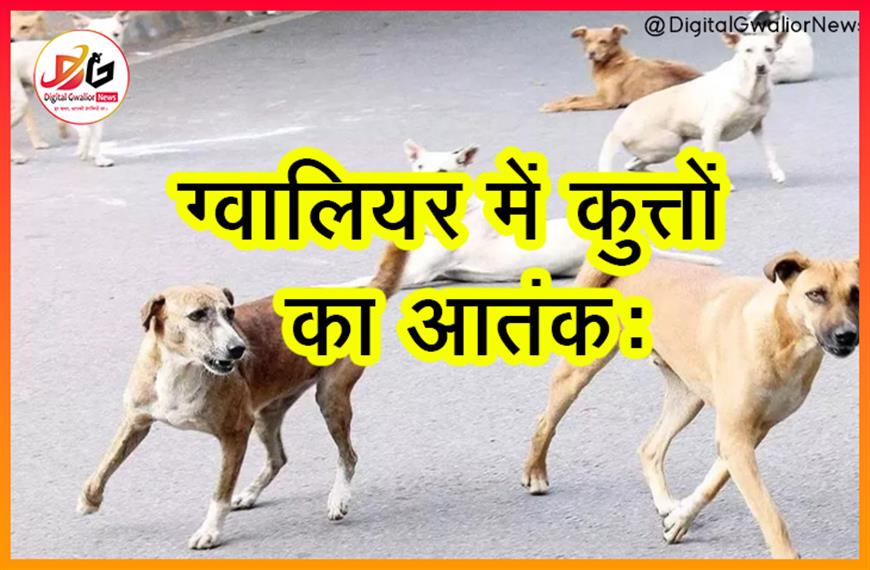 ग्वालियर में कुत्तों का आतंक: 1 दिन में 413 डॉग बाइट केस, 5 साल के मासूम पर हमला